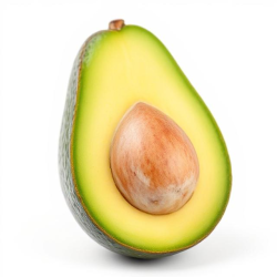 Avocado 'Hass'