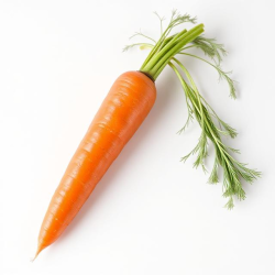 Table carrots