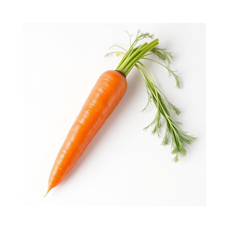 Table carrots Table carrots