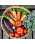 Vegetables